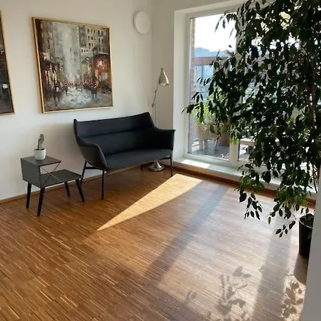 Penthouse-wohnung Mit Flussblick アパート